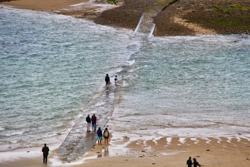 people walking on beach during daytime